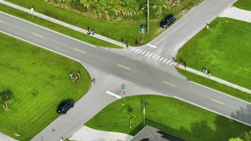 Aerial View of Schoolchildren Waiting for School Bus to Arrive