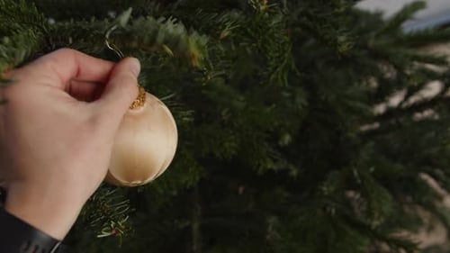 Christmas tree ornament hanging on branch