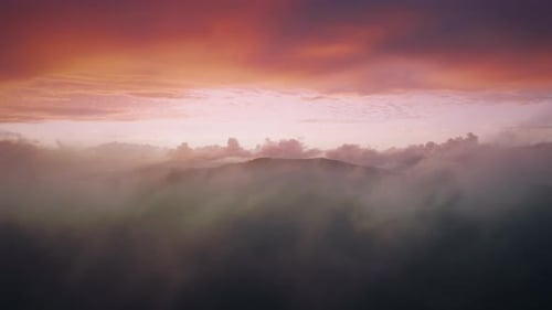 Golden Hour Aerial View of Forested Mountains in Clouds