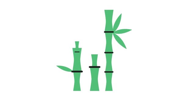Bamboo Animated Design, Elements Motion Graphics ft. Bamboo Animated ...
