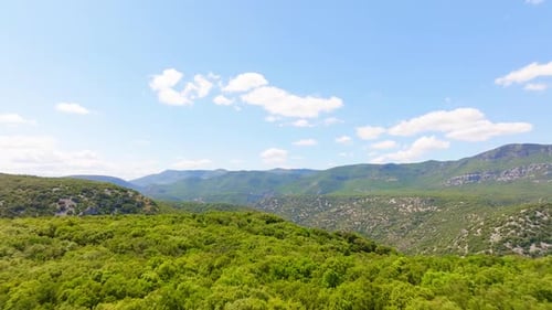 aerial drone shot over green forests, hills