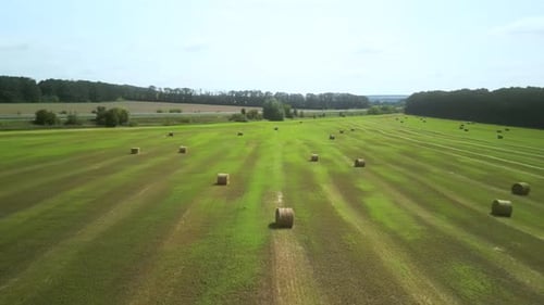 Round Hay Bales on the Green Field