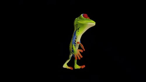 Frog Drunk Walk