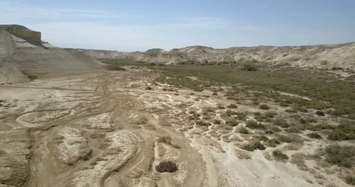 Desert flight