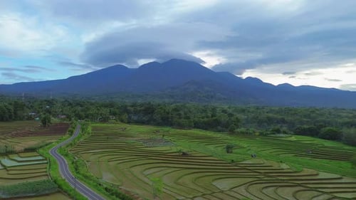 Beautiful morning view in Indonesia, panoramic landscape of rice fields with mountain ranges