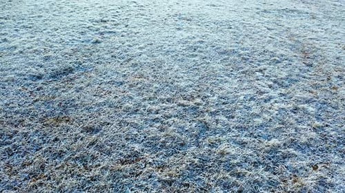 Delicate Frost Clings to Grass Glowing Warmly Under the Early Sun's Tender Embrace