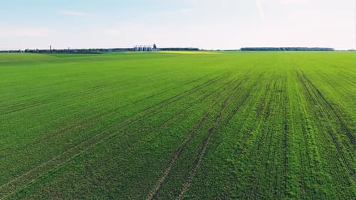 Green Crop Field Near the Grain Silos Savings Aerial View