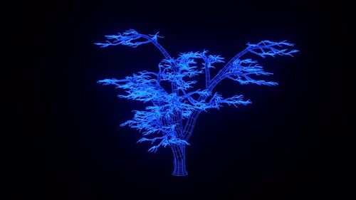 Holographic Lebanese Cedar Growth 3D Animation