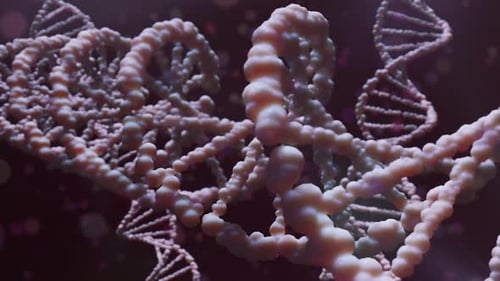 Sequencing dna structure for genome code health with magnification technology