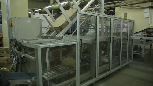 carton packing robot in a food factory