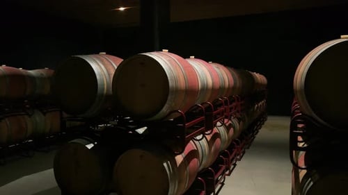 wine cellars in somontano and rioja in spain barrels and elaboration process, tasting gimbal shoot