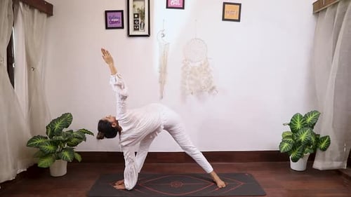 Parvitta Trikonasana Images/Frames