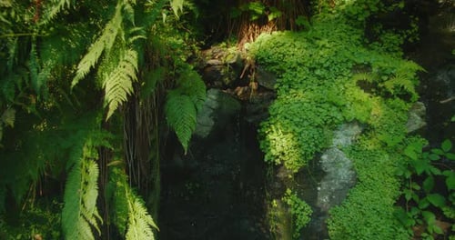 Kleine Wasserkaskade, die über Felsen fließt, die mit leuchtend grünen Pflanzen und Moos bedeckt sind, in einer Waldlandschaft