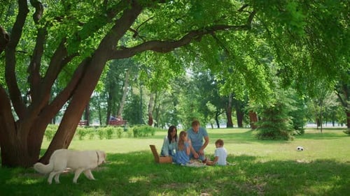 Family having picnic under the big tree in park