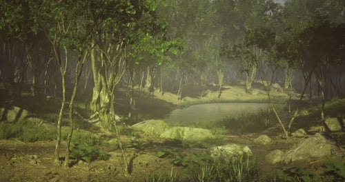 Serene Forest Landscape with a Tranquil Pond Surrounded By Trees