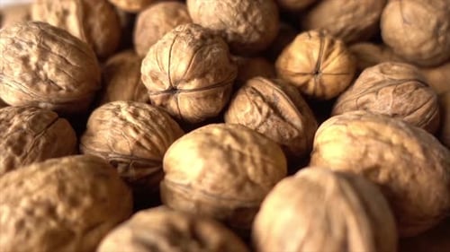 Close up of Pile of Walnuts in Shells
