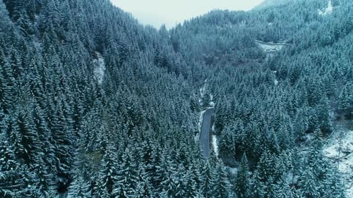 Epic Drone Shot of Winter Mountain Forest and Road