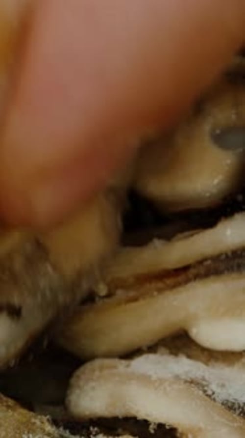 Close Up of Heap of Glazed Mussels
