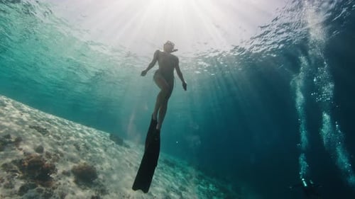 Freediver in the tropical sea. Sexy woman freediver swims underwater in the tropical sea and ascends