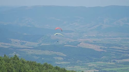 Two Paragliders Cross Paths Above Forest and Mountains