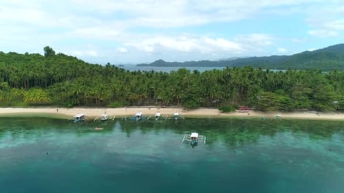 Aerial View of a Tropical Island with Palm Trees and White Sand Beaches Amazing Tropical Island in