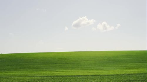 Green Grass Field and Bright Blue Sky Panoramic View