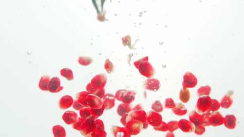 Pomegranate Seeds Falling into Clear Water