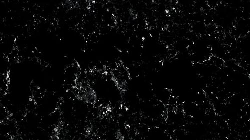 Splashing Water Droplets on a Black Background