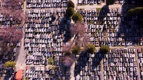 Aerial shot of people walking through graveyard path on sunny day