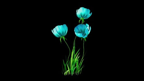 Flowers Blue Growing Alpha Channel