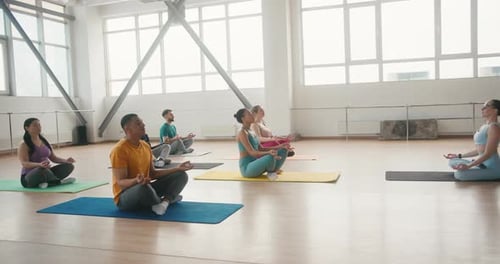 Group Meditates During Beginner Yoga Class in Fitness Gym