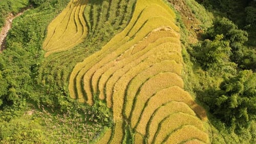 Vietnam Drone Aerial View