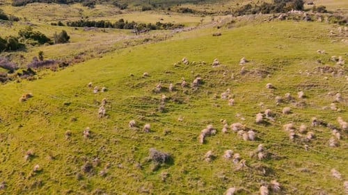 Aerial Panorama of Rolling Hills and Mountain Range Under Clear Blue Sky Travel and Nature