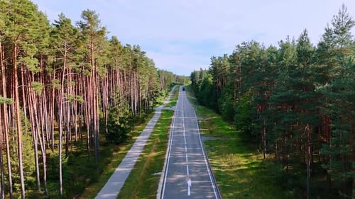 Straight road in forest. Long straight road dividing lush forest under bright summer light.