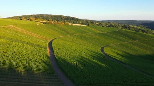 Revealing aerial view of vineyard on mountains with town in the background during sunset filmed in 4