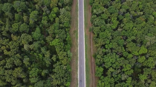 Aerial Top Down View of Gravel Road in Forest Misty Morning