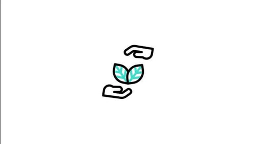 Minimalist Animated Icon of Hands Protecting Green Leaves