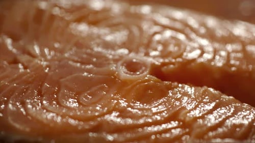 Appetizing Salmon Steak Cooking on Fire in Slow Motion Appetizing Red Fish Preparing a Trout Dish