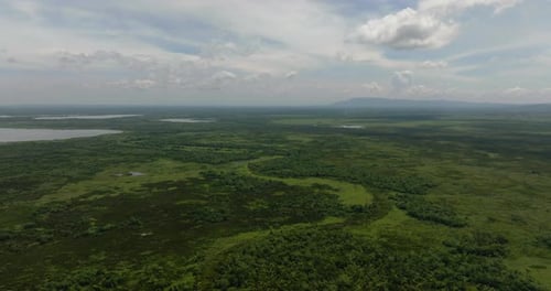 Agusan Marsh Wildlife Sanctuary in the Philippines