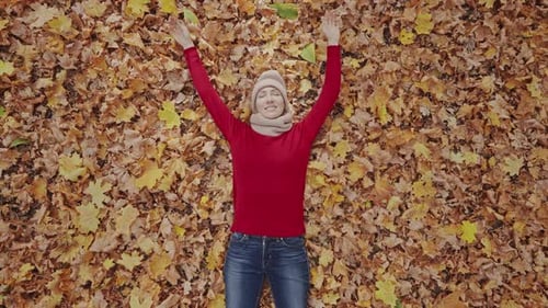 Attractive Young Woman Lies on a Carpet of Yellow Leaves in an Autumn Forest Woman in a Red Sweater