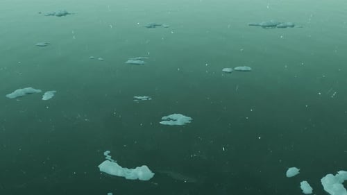 Water Surface With Floating Ice Plates Reflecting Starry Sky