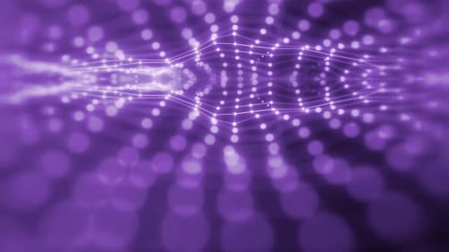 Abstract Purple Network Plexus Lines and Dots Animation