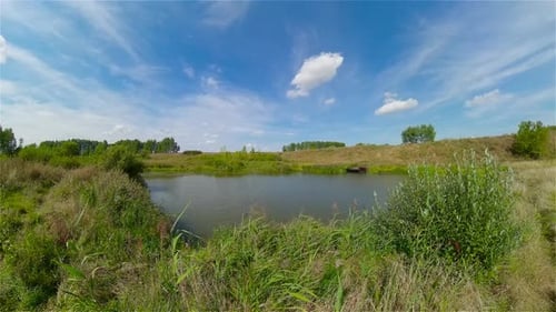 Summer Landscape with Field and Lake