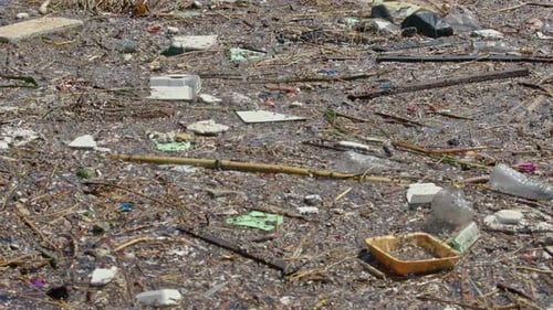 Water Pollution Garbage Worries In Developing World