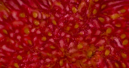 Fig Slices Under Pressure