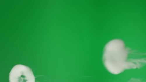 Smoke on Green Chroma Key Background Smoking Steam Clouds of Vapour Closeup Burning Fog