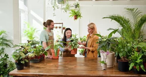Plant Shop Employees Working With Potted Plants