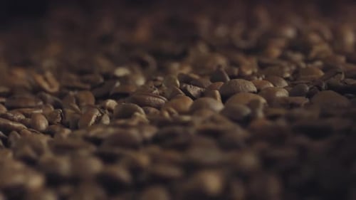 Detailed Close Up of Roasted Coffee Beans