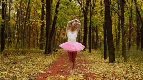 The Echo of November Accompanies the Ballerina's Dance in the Autumn Forest