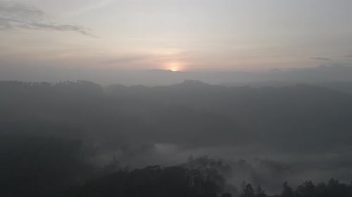 Aerial Foggy green forest with canopies of spruce trees and sunrise rays shining through branches in